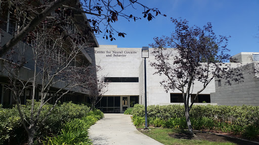 Center For Neural Circuits And Behavior