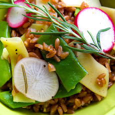 Farro Salad with Summer Beans, Radishes & Rosemary Oil