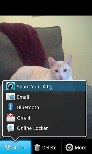 CatShare Pro