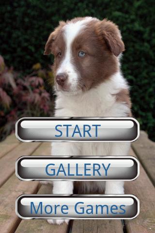 Dog Puzzle: Border Collie