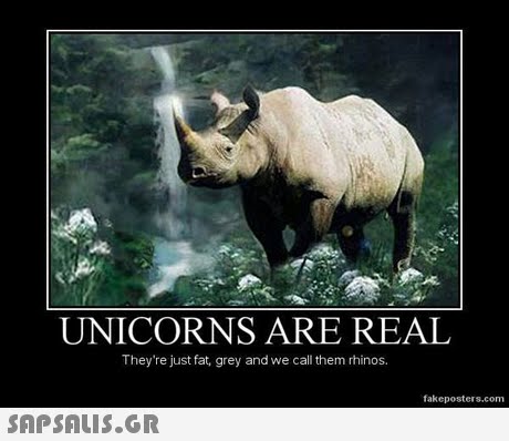 UNICORNS ARE REAL They re just fat, grey and we call them rhinos. fakeposters.com 