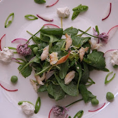 Smoked Trout Arugula Salad with Horseradish