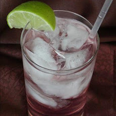 Seductive Gin Tonic