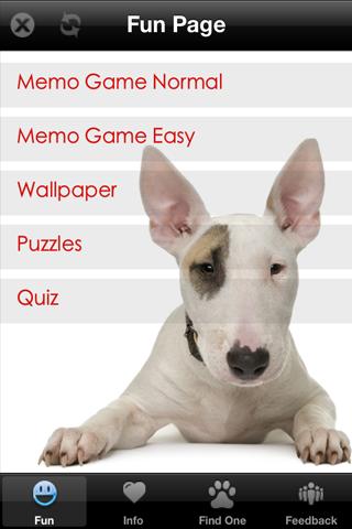 Bull Terrier+ Free