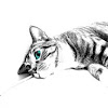 Cat with the Teal Eyes Print Two
