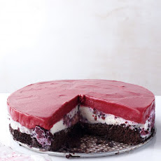 Chocolate-Berry Ice Cream Cake