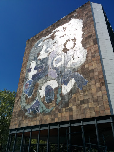 Fresque Jussieu