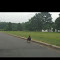 Spotting 4