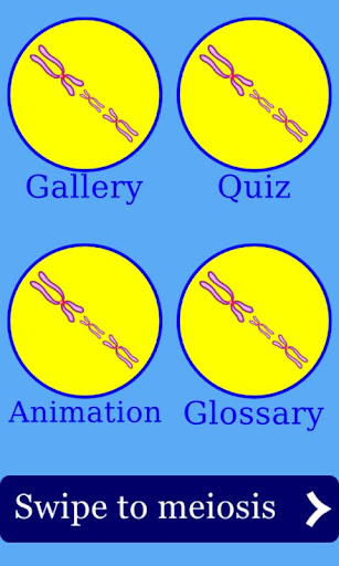 Cell Division