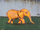 Elefante Solitario