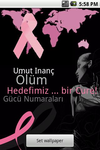 Turkish - Breast Cancer App