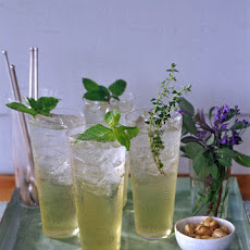 Herbal Sodas