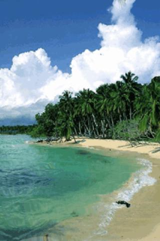 Tropical Sea Live Wallpaper