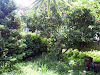 Lote En Escazu  7