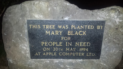 Mary Black People in Need Plaque