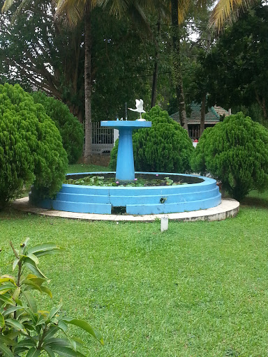Pond at Matale Municipal Council