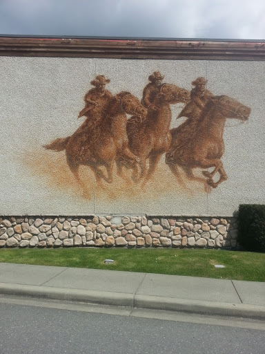 Montanas Cowboys