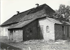 FO005-1bw--.jpg
