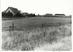 FO006-1bw--.jpg