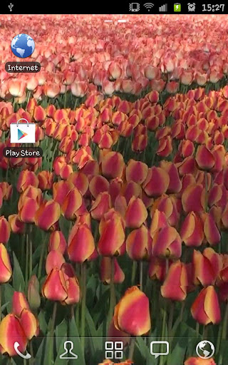 Flowers Live Wallpaper