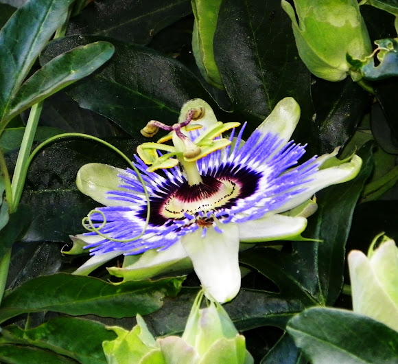 Spotting Image 1