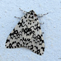 Lymentridae