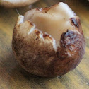 Cup fungus/ Local-Kundi