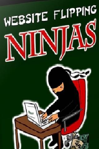 Website Flipping Ninjas