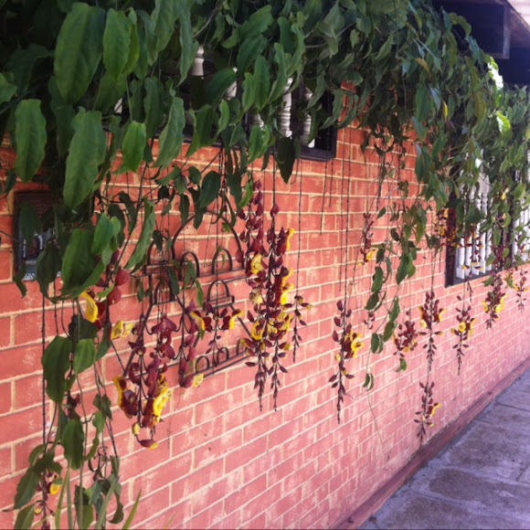 Spotting Image 1