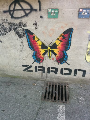 Zarons Butterfly