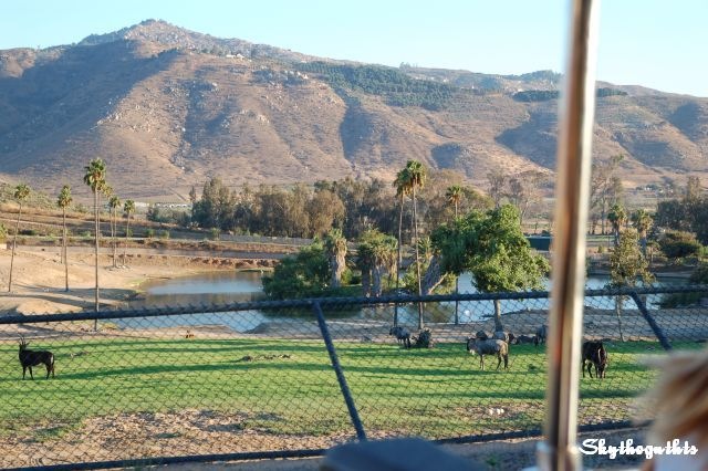 [DSC_89282008_08_19[14].jpg]