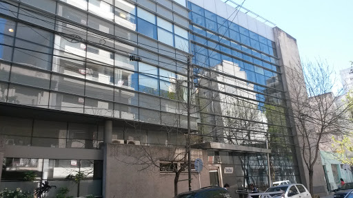 Instituto De Neurociencias De Buenos Aires