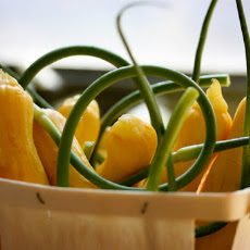 Garlic Scape Pesto
