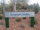 Xerophytic Habitat