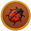 Lost Ladybug Project