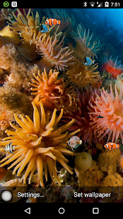 How to mod Coral reef free live wallpaper lastet apk for android