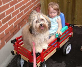 tiffany silver dog tag