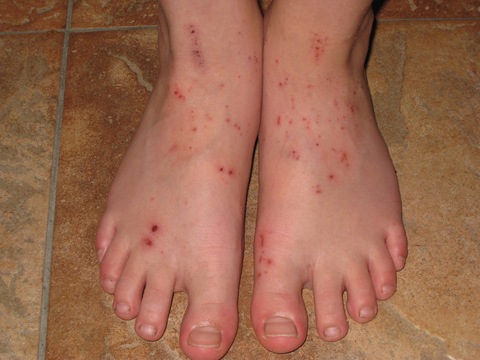 [2008-07-19 001[6].jpg]
