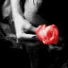 [563[2].gif]