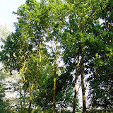 Ratingen Grüner See