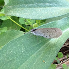 Spring Azure