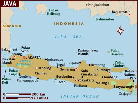 [image1.png]