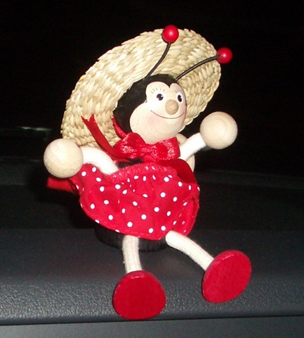 [LADYBUG8.jpg]