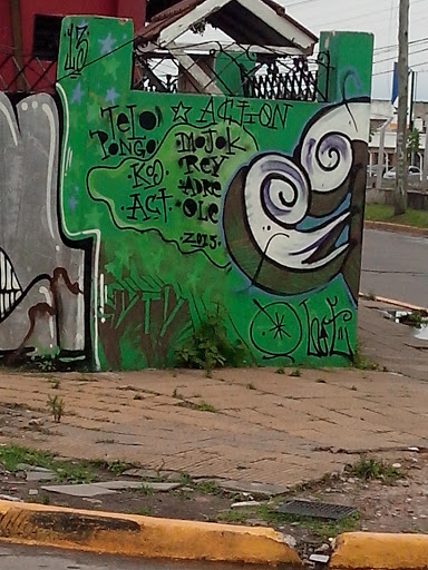 Grafitti Telo Pongo