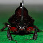Rhino Beetle