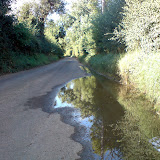 Reflectie