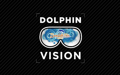 Dolphin Vision