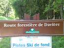 Route Forestière De Davière