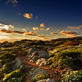 by Robert Weber - Landscapes Prairies, Meadows & Fields