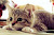 User profile picture thumbnail